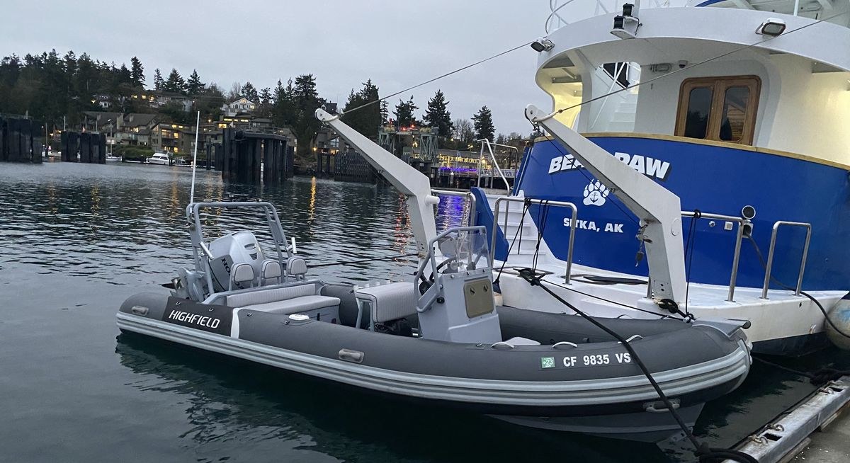 BEAR PAW yacht charter 5