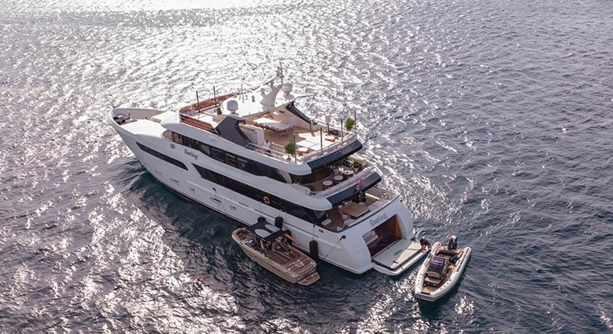 DARLING yacht charter 5