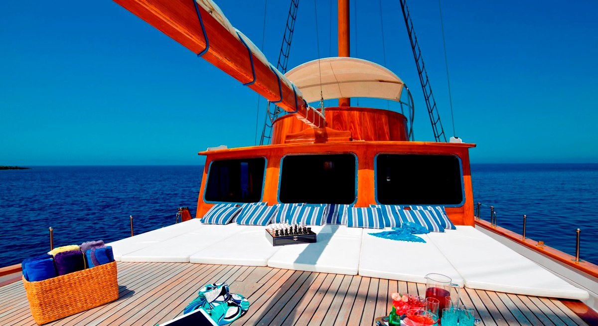 HERMINA yacht charter 2
