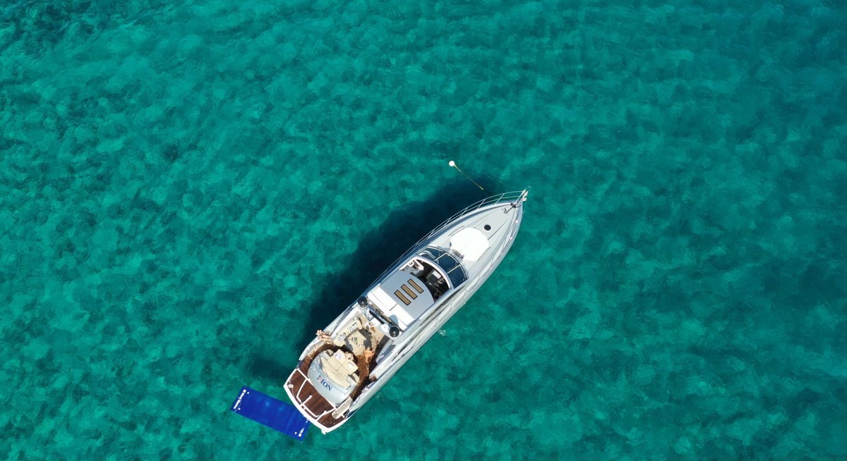 LION yacht charter 3