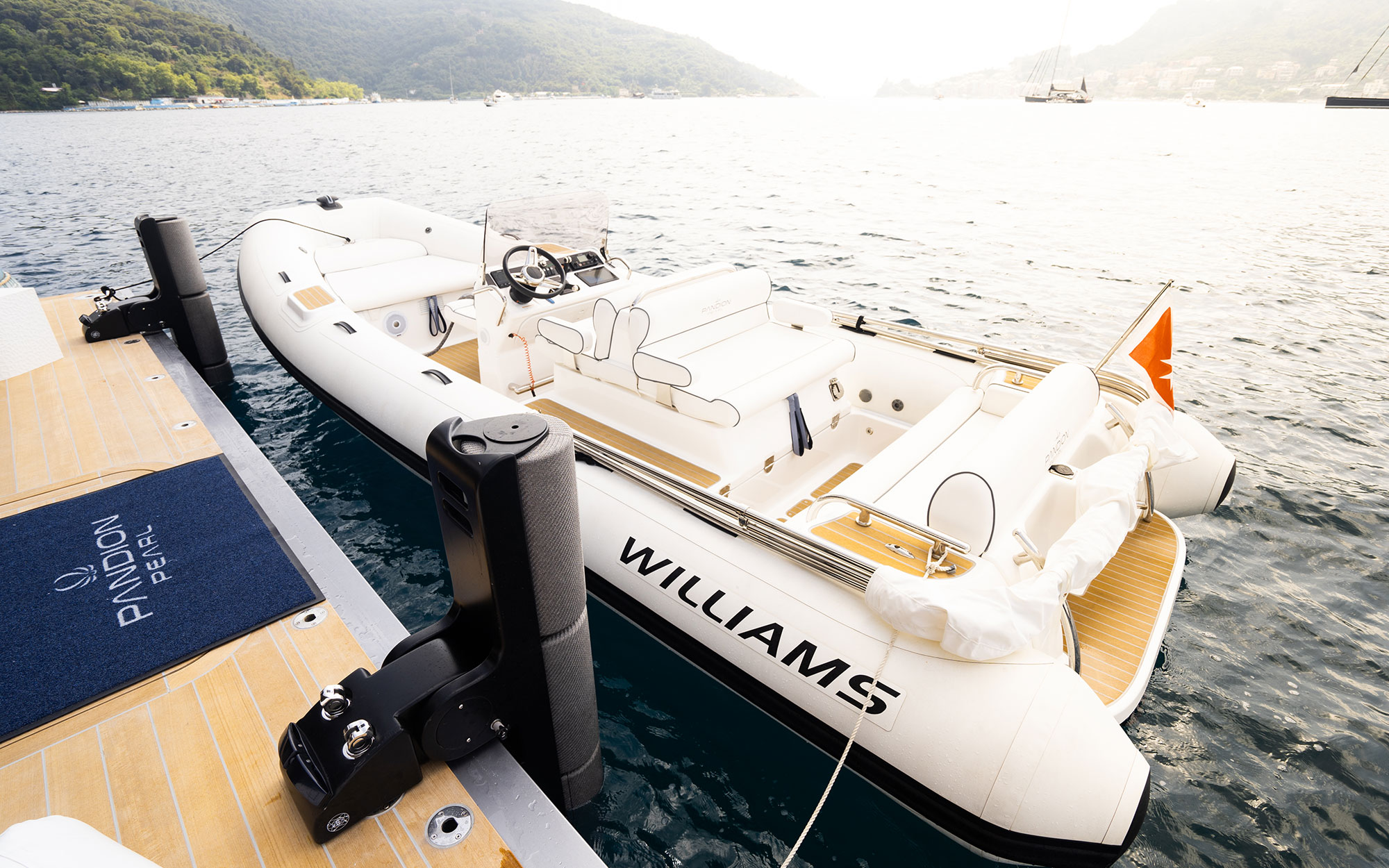 PANDION PEARL yacht charter 5