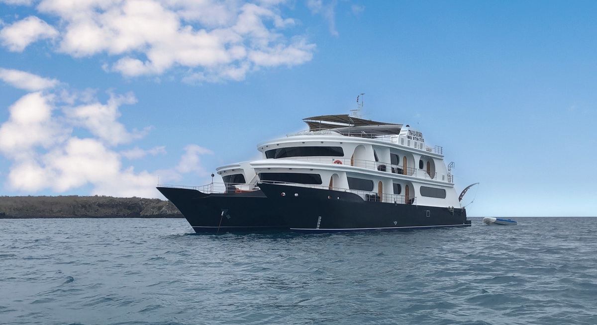 PETREL yacht charter 5