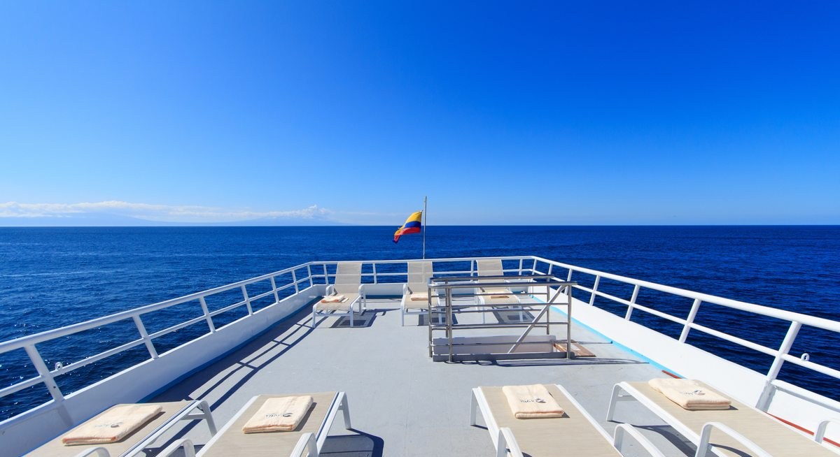 PINGUINO EXPLORER yacht charter 3