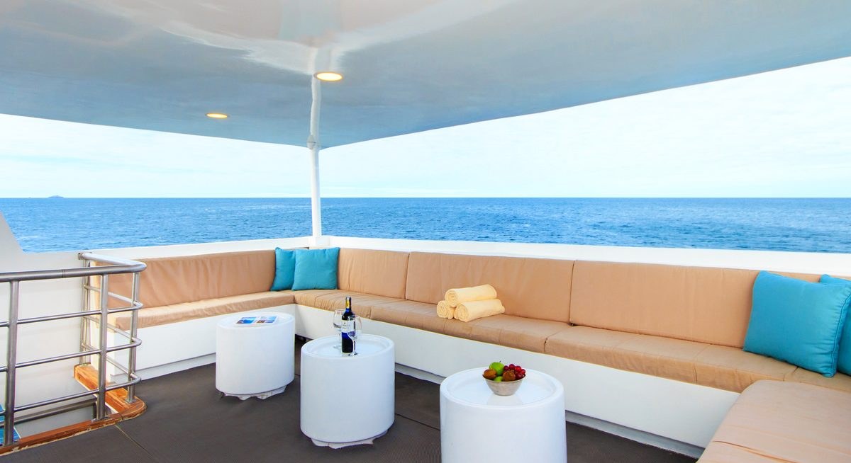 PINGUINO EXPLORER yacht charter 4