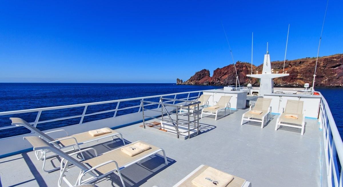 PINGUINO EXPLORER yacht charter 2