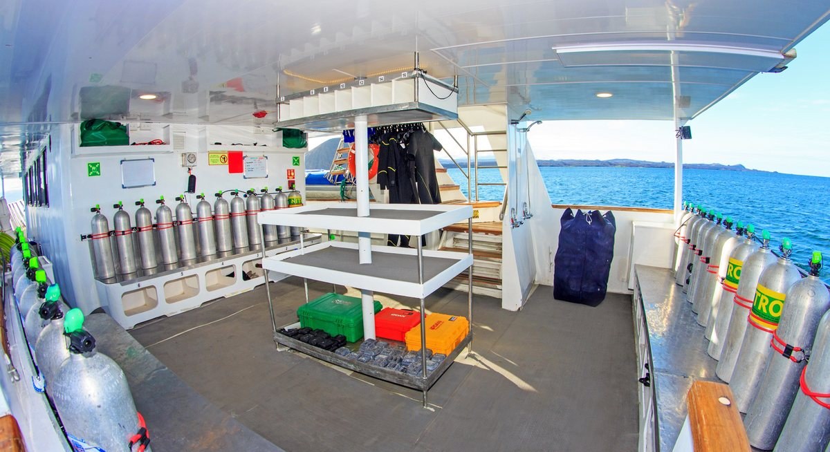 PINGUINO EXPLORER yacht charter 5