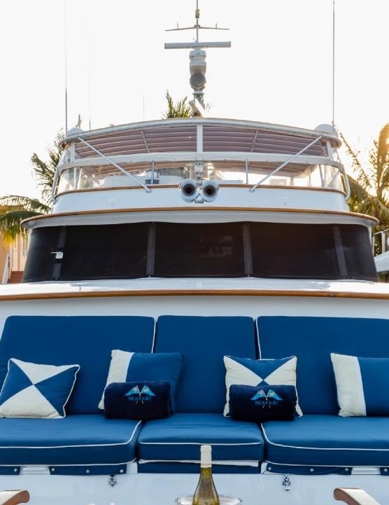 SEAFARI yacht charter 2