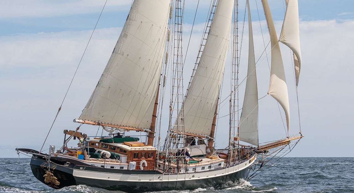 TREE OF LIFE yacht charter 5