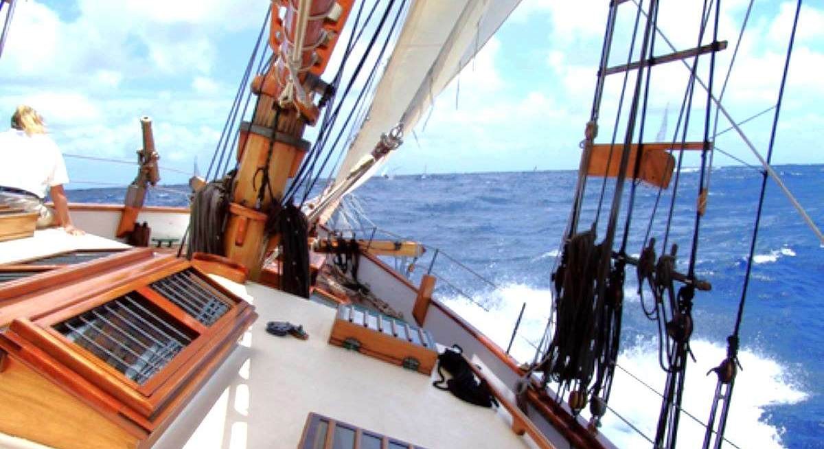 TREE OF LIFE yacht charter 2