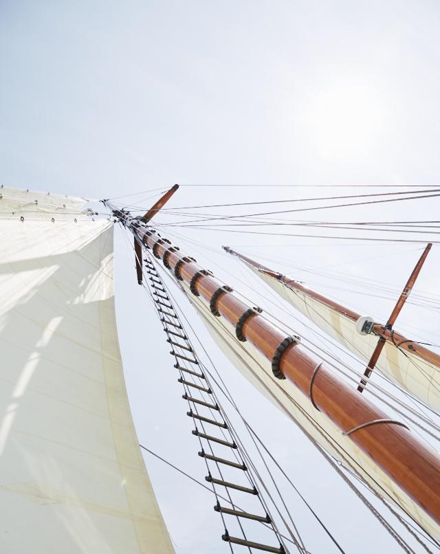 WHEN AND IF yacht charter 5