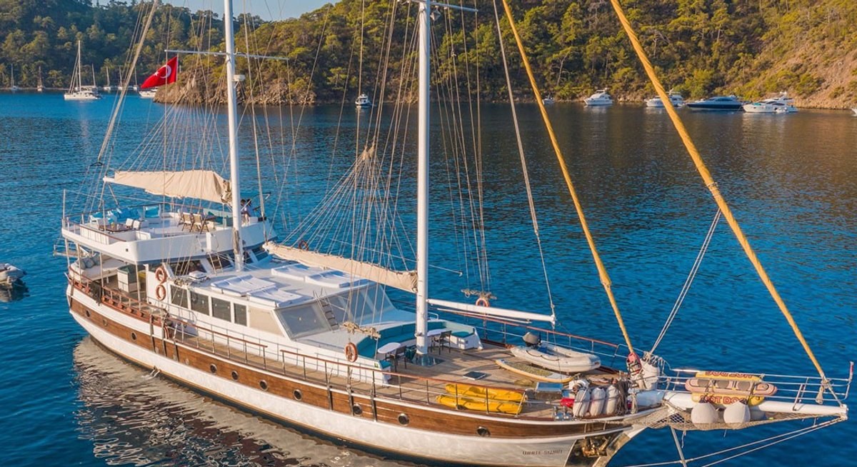 WHITE SWAN yacht charter 1