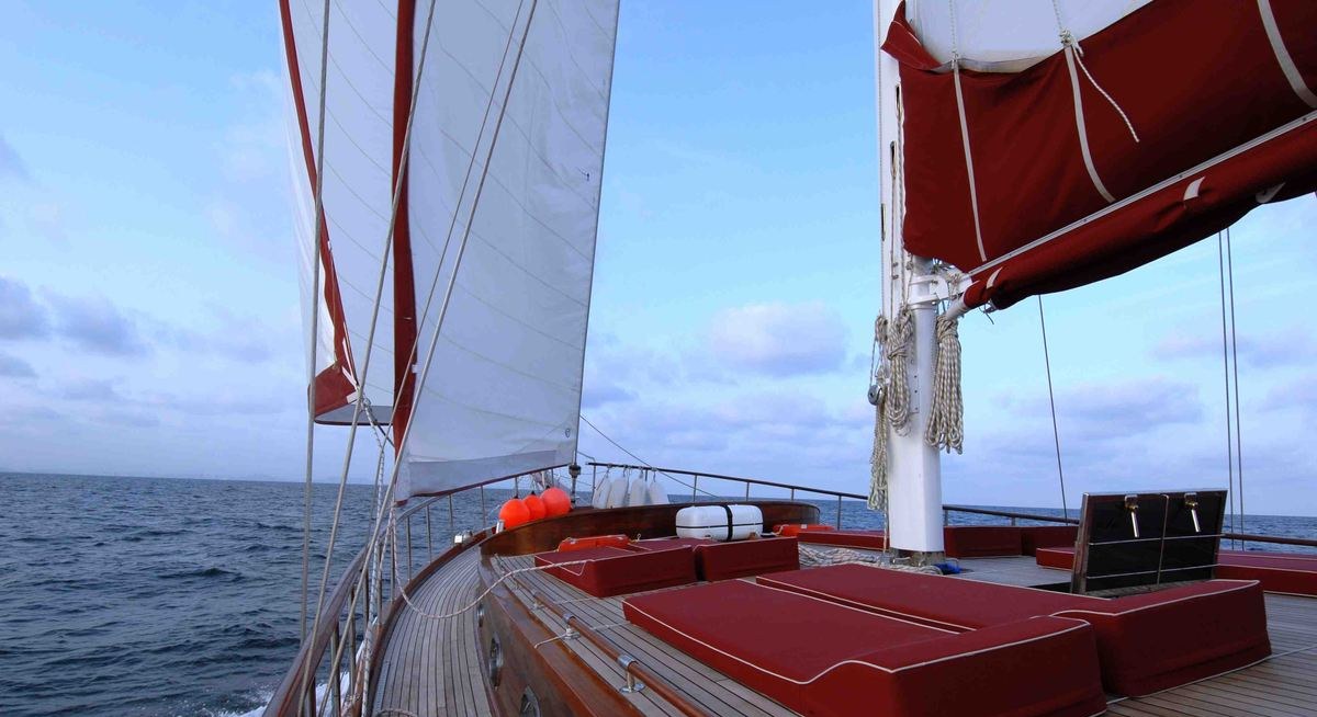 WHY NOT I yacht charter 3